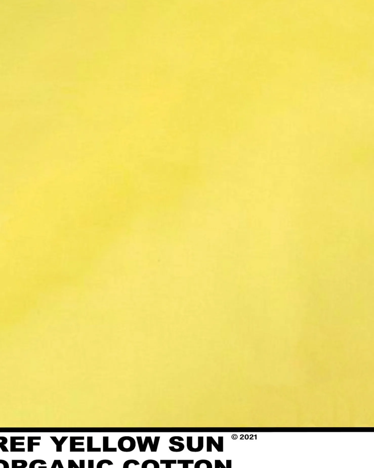 MaisonCléo Blouses>Blouse en coton colorée ANITA